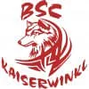 BSC  3D - Bogensportclub Kössen